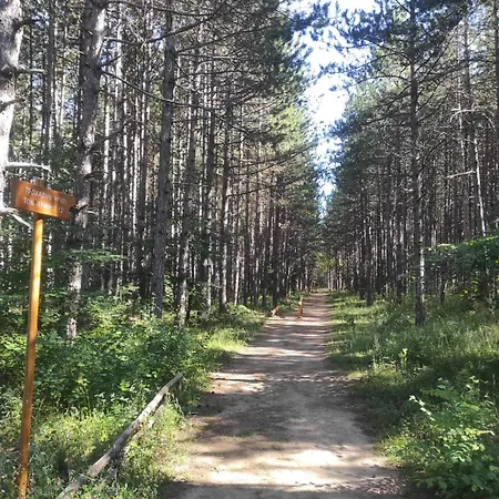 The Stone House Lägenhet