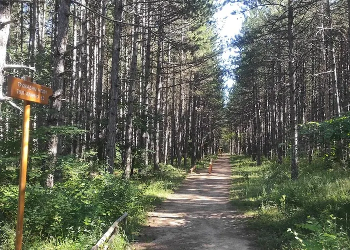 The Stone House Apartament